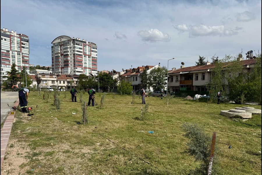 Yenimahalle’ye Bahar Geldi